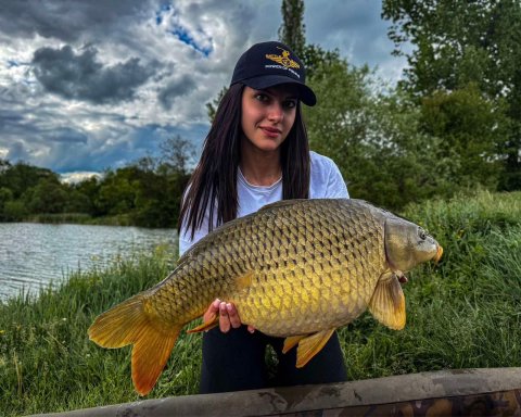 FB_IMG_1758660593797